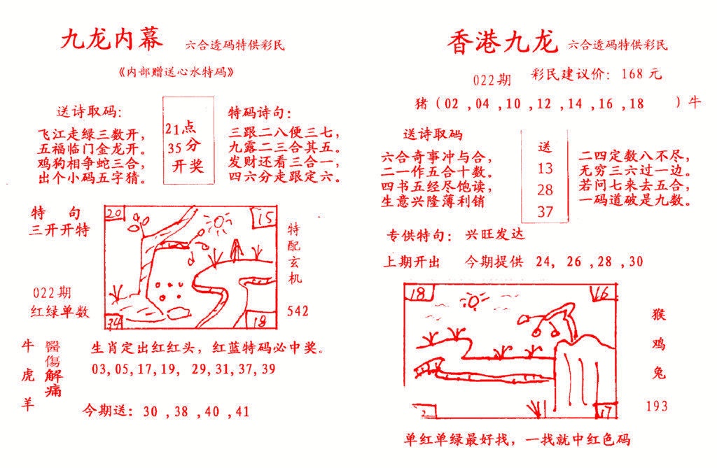 022期九龙内幕[图]