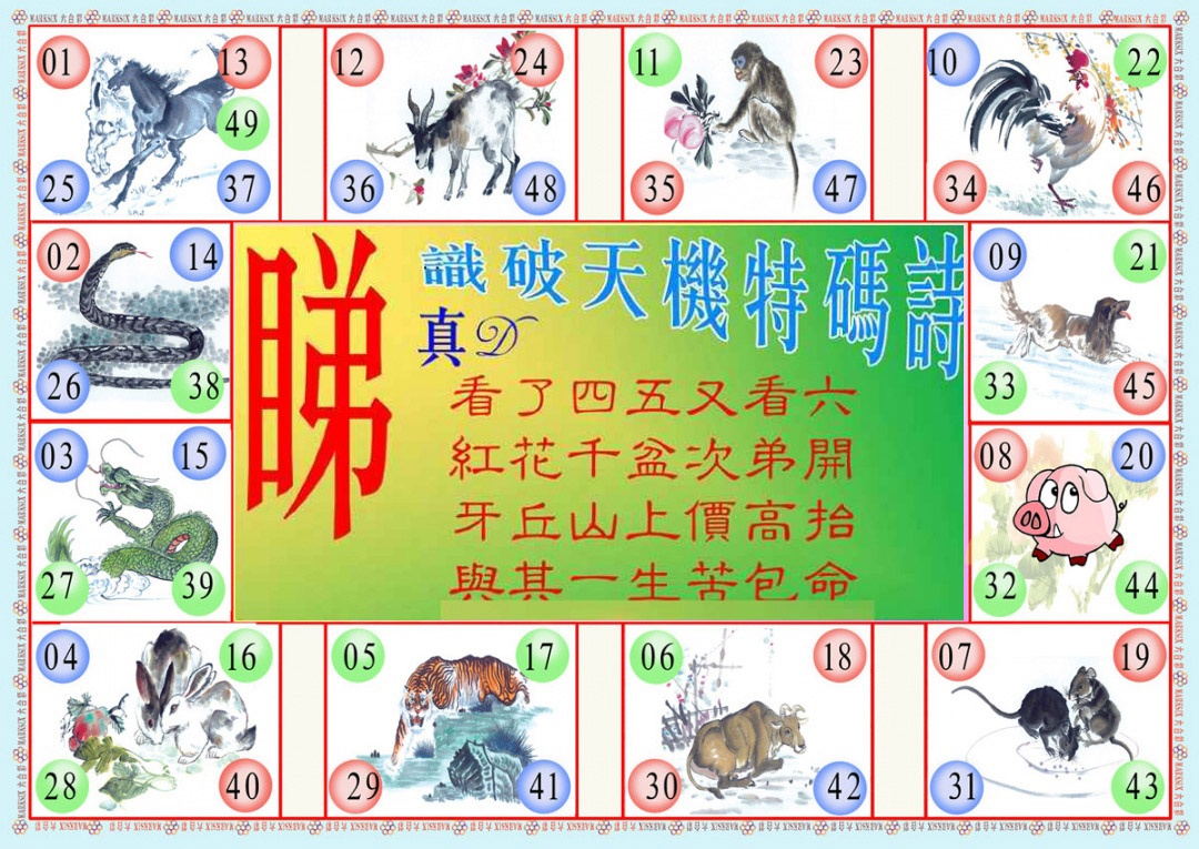 022期识破天机B版[图]