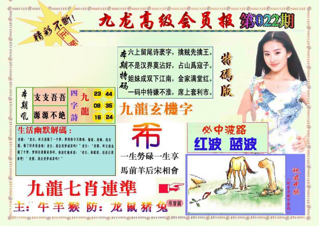 022期九龙高级会员报[图]