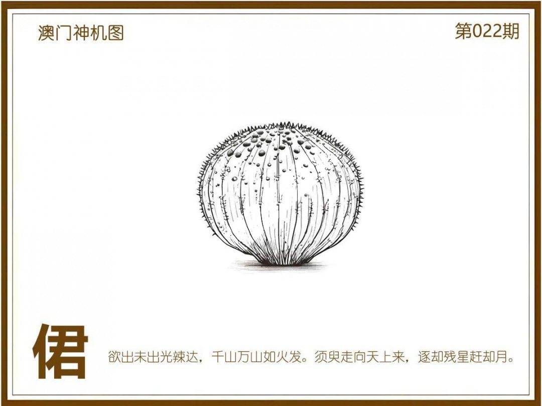 022期澳门神机图[图]